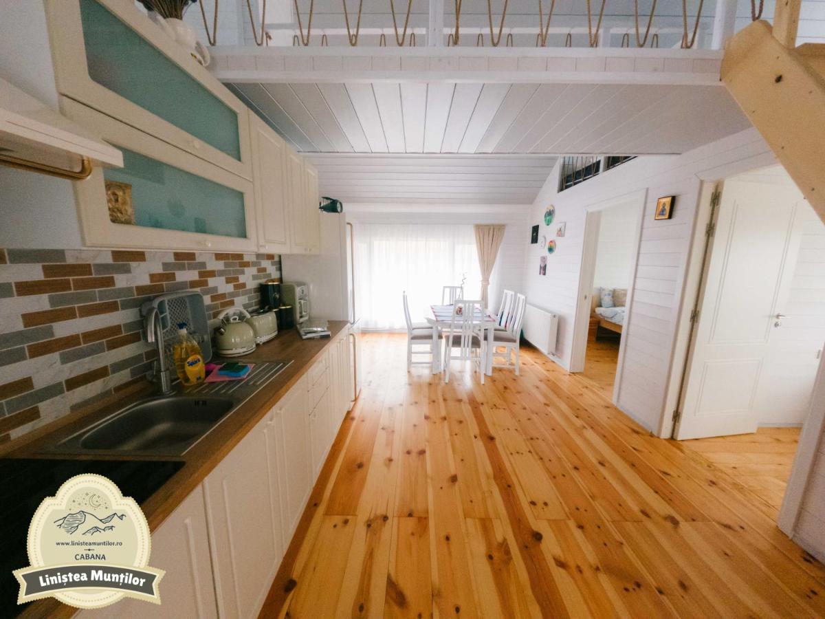 פורומבקו דה סוס Linistea Muntilor Chalet מראה חיצוני תמונה