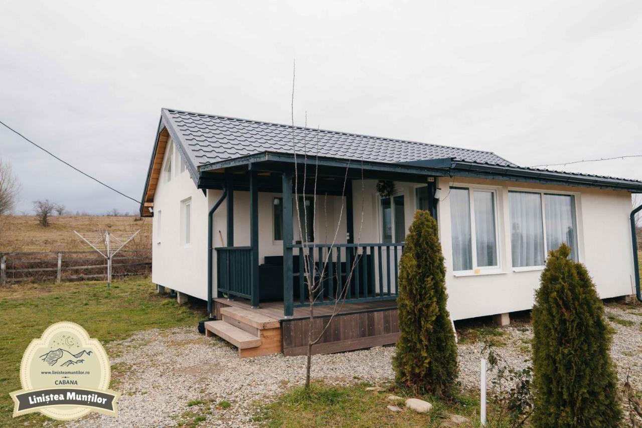 פורומבקו דה סוס Linistea Muntilor Chalet מראה חיצוני תמונה