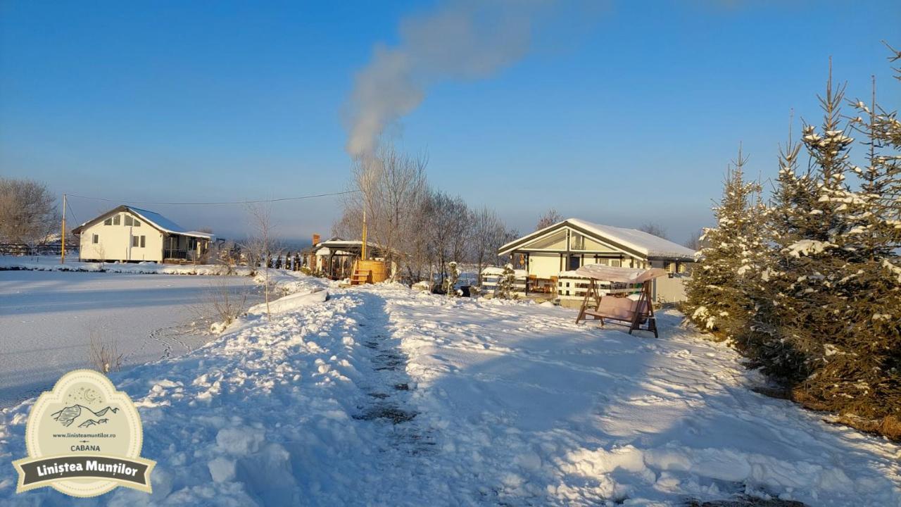 פורומבקו דה סוס Linistea Muntilor Chalet מראה חיצוני תמונה