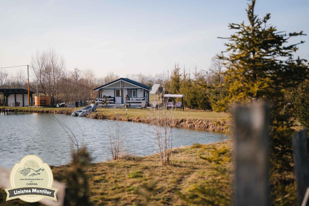 פורומבקו דה סוס Linistea Muntilor Chalet מראה חיצוני תמונה