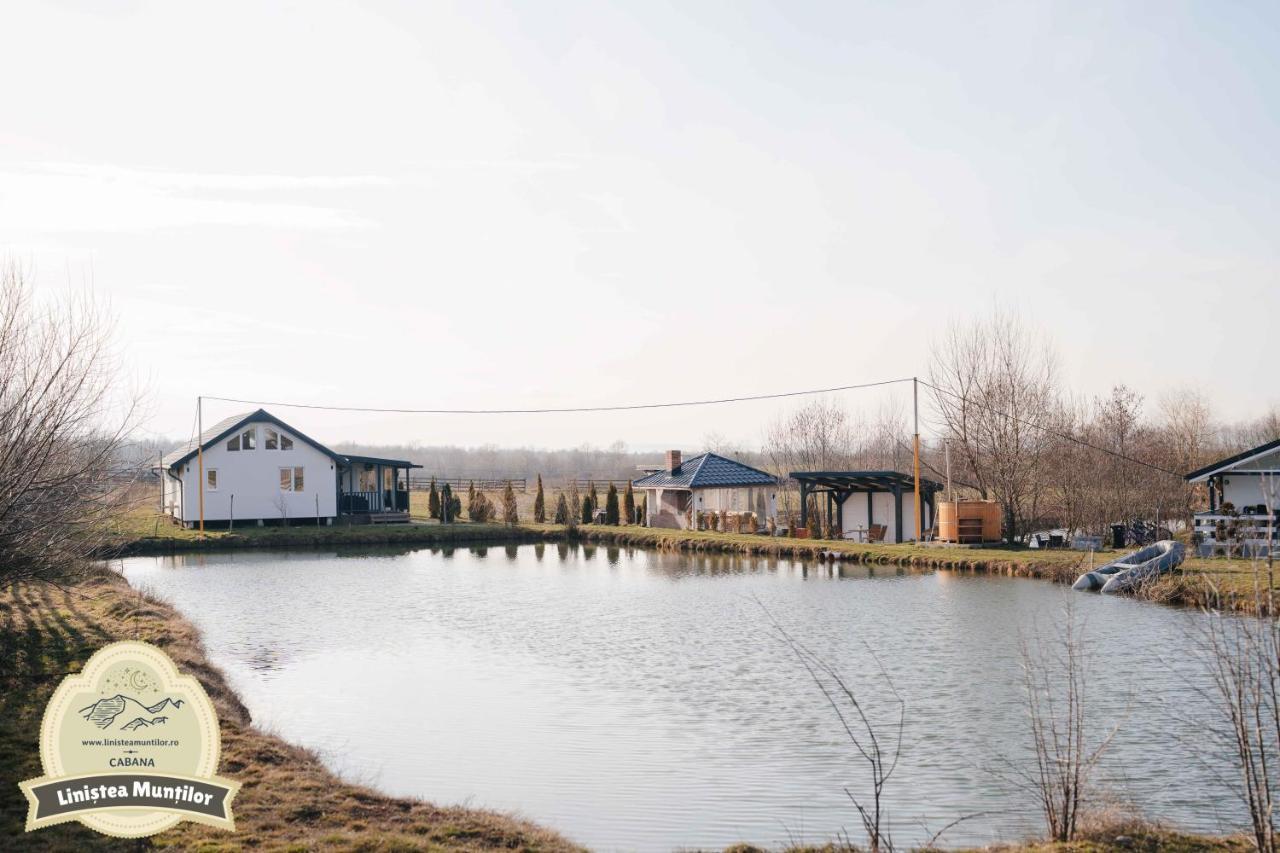 פורומבקו דה סוס Linistea Muntilor Chalet מראה חיצוני תמונה