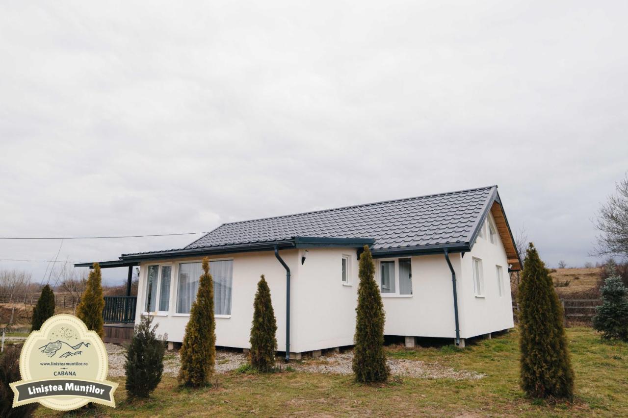 פורומבקו דה סוס Linistea Muntilor Chalet מראה חיצוני תמונה