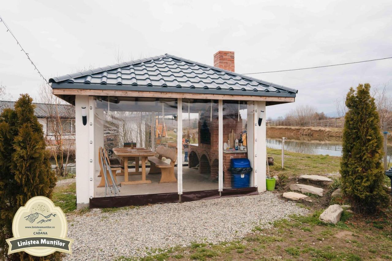 פורומבקו דה סוס Linistea Muntilor Chalet מראה חיצוני תמונה