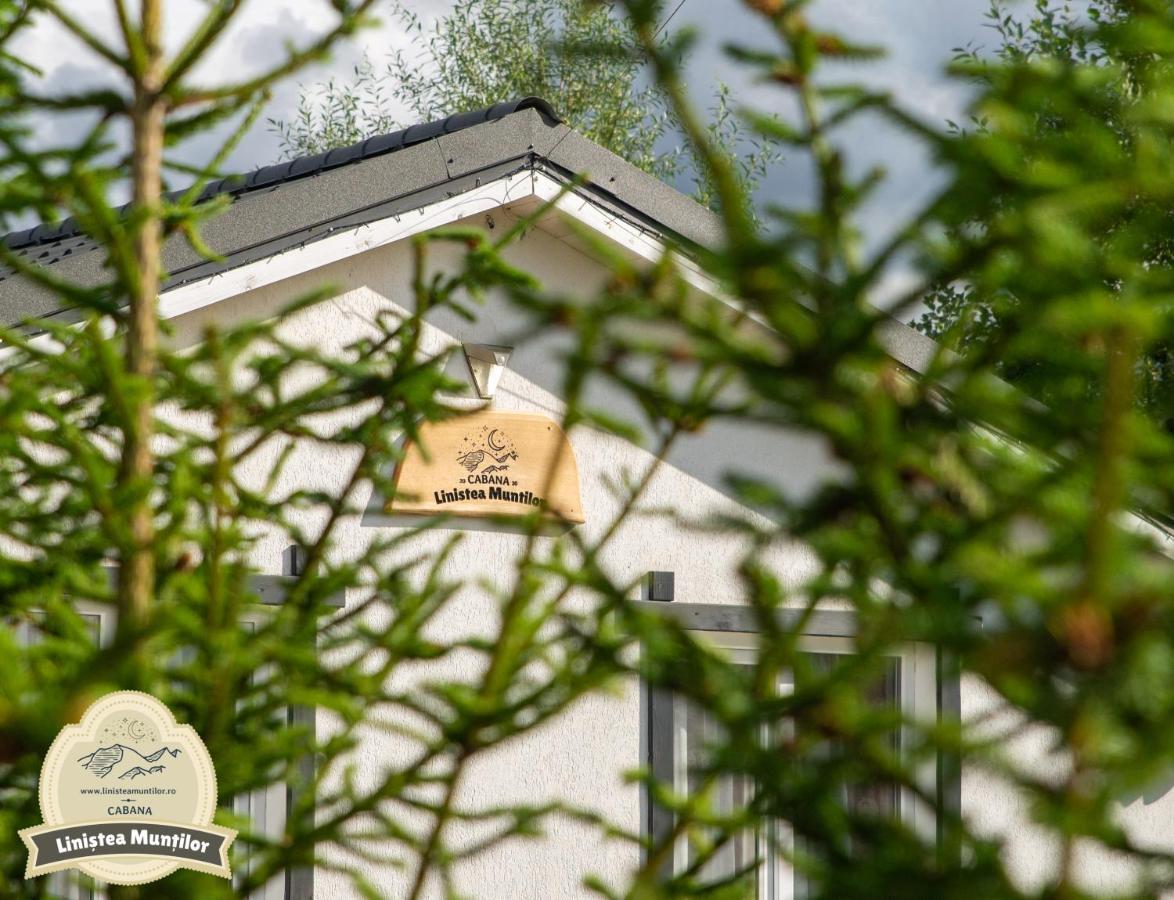 פורומבקו דה סוס Linistea Muntilor Chalet מראה חיצוני תמונה
